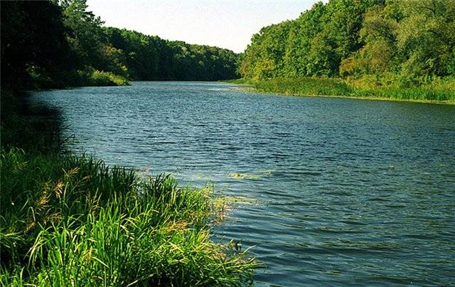 Річка Десна (ілюстративне зображення). Фото: wikipedia