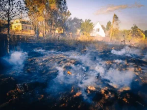 Пожежа у Вахівці. Фото: ДСНС Київщини