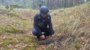 Вилучення боєприпасів. Фото: МРЦШР ДСНС України