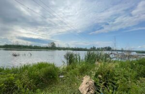 Водойма у Гута-Межигірській. Фото: поліція Київщини