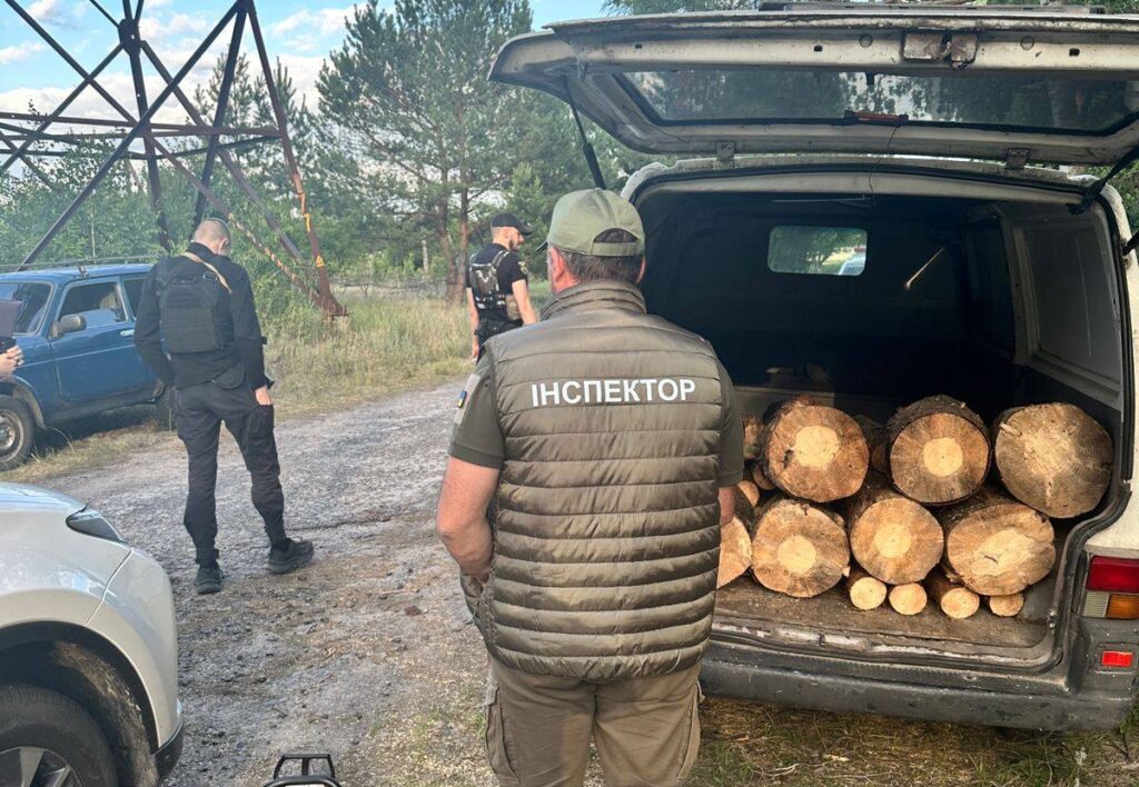 Вирубка сосен в Ясногородці. Фото: ДЕІ Столичного округу
