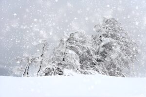 Снігопад. Фото: iStock