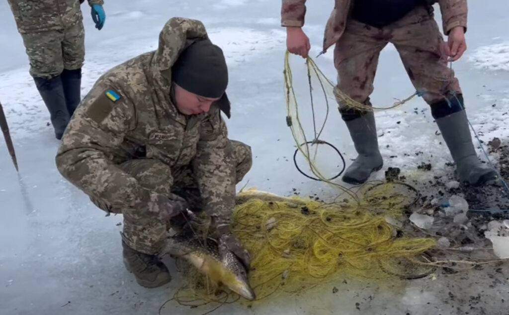 Риба. Фото: скиншот з відео Держрибагентства