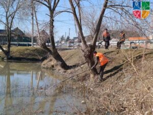 Мор риби в Нових Петрівцях. Фото: Петрівська громада