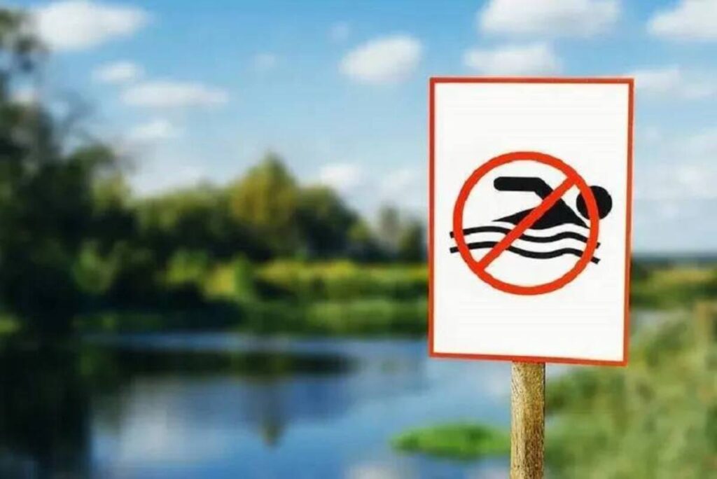 Правила поведінки на водоймах. Фото: Вишгородська РВА
