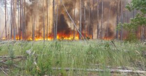 Пожежа в Чорнобильській зоні. Фото: Нестеров Денис