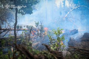 Пожежа в Чорнобильській зоні. Фото: ДСНС Київщини