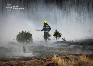 ДСНС Київщини ліквідують масштабну пожежу на Вишгородщині