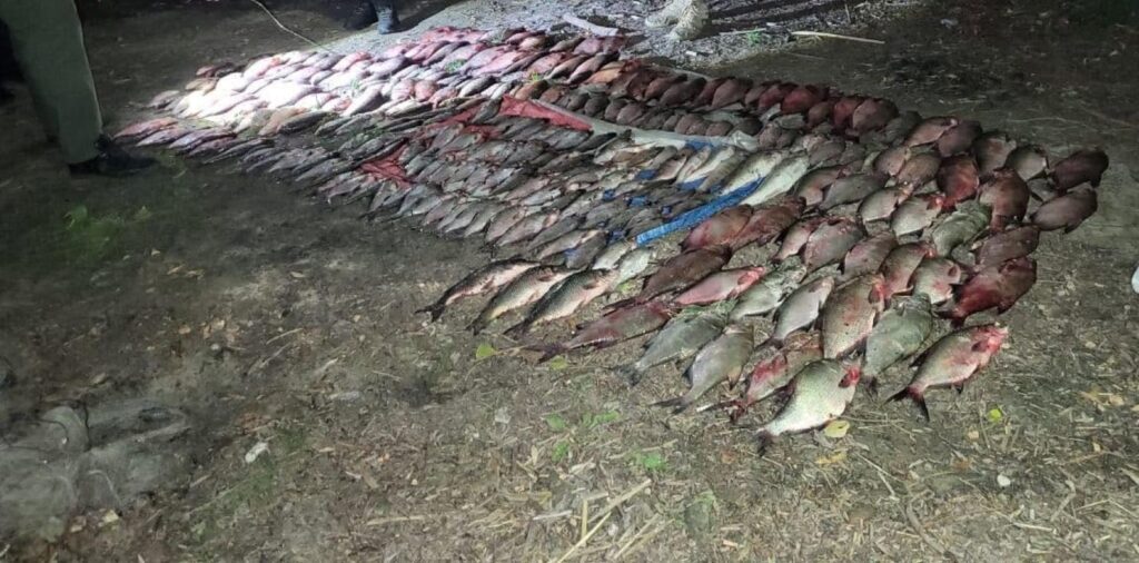 Незаконний вилов риби на Київському водосховищі — деталі підозри браконьєрам