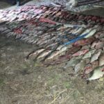 Незаконний вилов риби на Київському водосховищі — деталі підозри браконьєрам