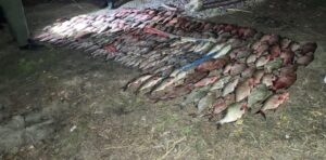 Незаконний вилов риби на Київському водосховищі — деталі підозри браконьєрам