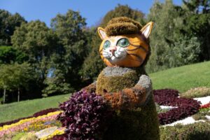 Від косметики до котів: які виставки та події пройдуть у Києві цієї осені